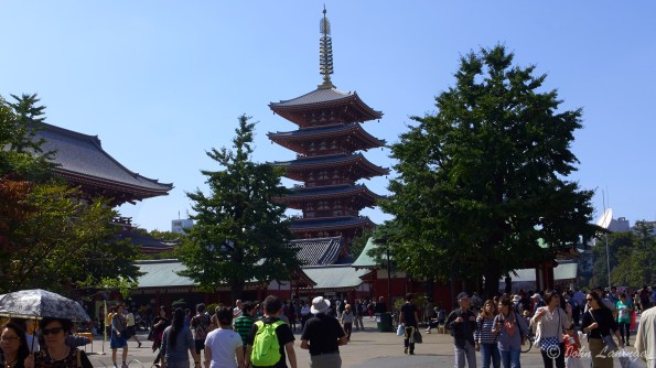 At he Buddhist temple