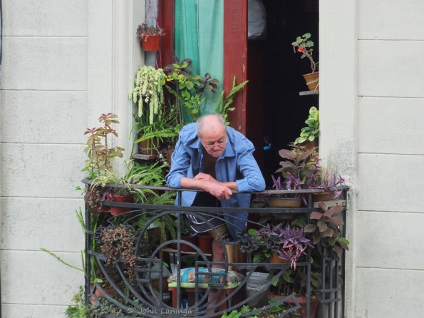 Our "neighbor" across the street