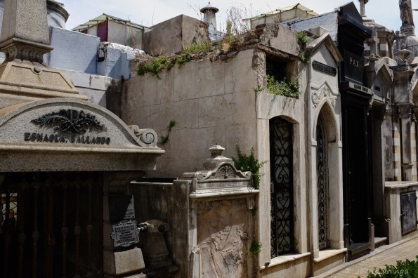 Different designs from one grave to the next