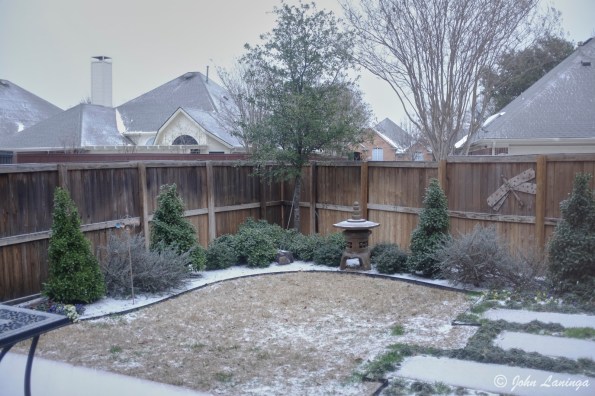 A quick view of Tanya's back yard....