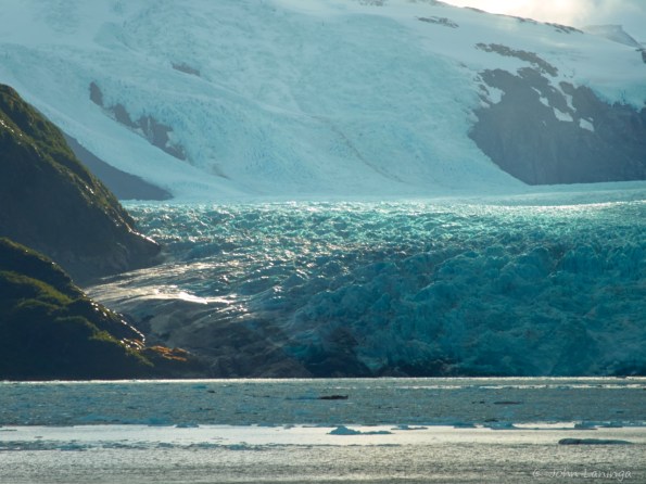 Sun highlights the Skua glacier