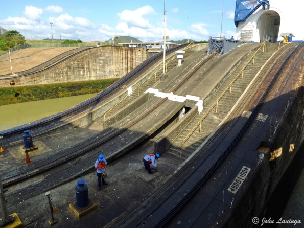 Hooking up the mules