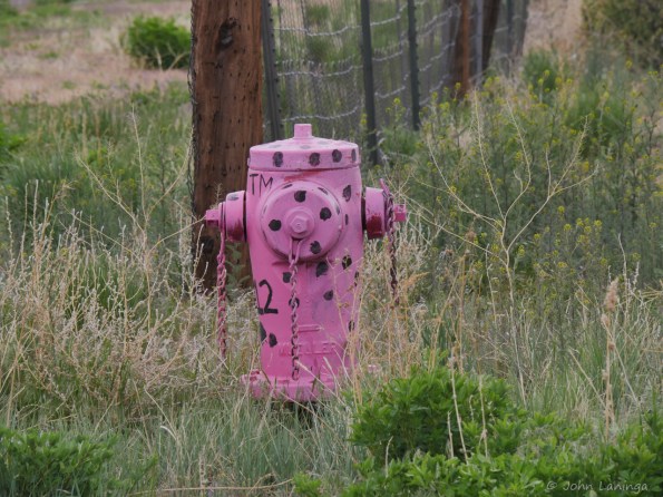 OK, just had to throw in this fire plug