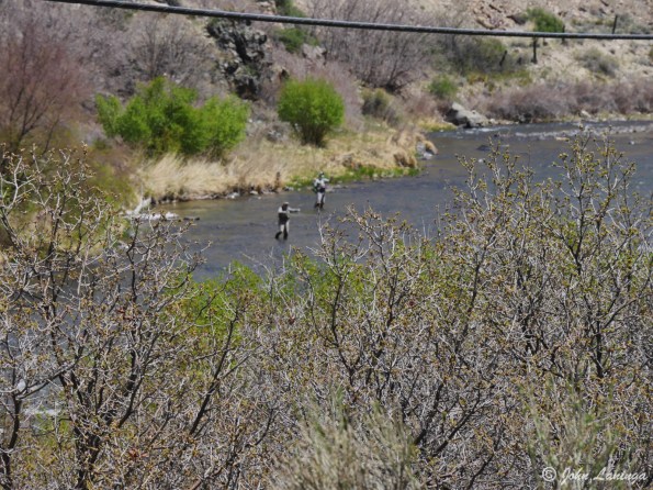Fly fishermen in the Arkansas