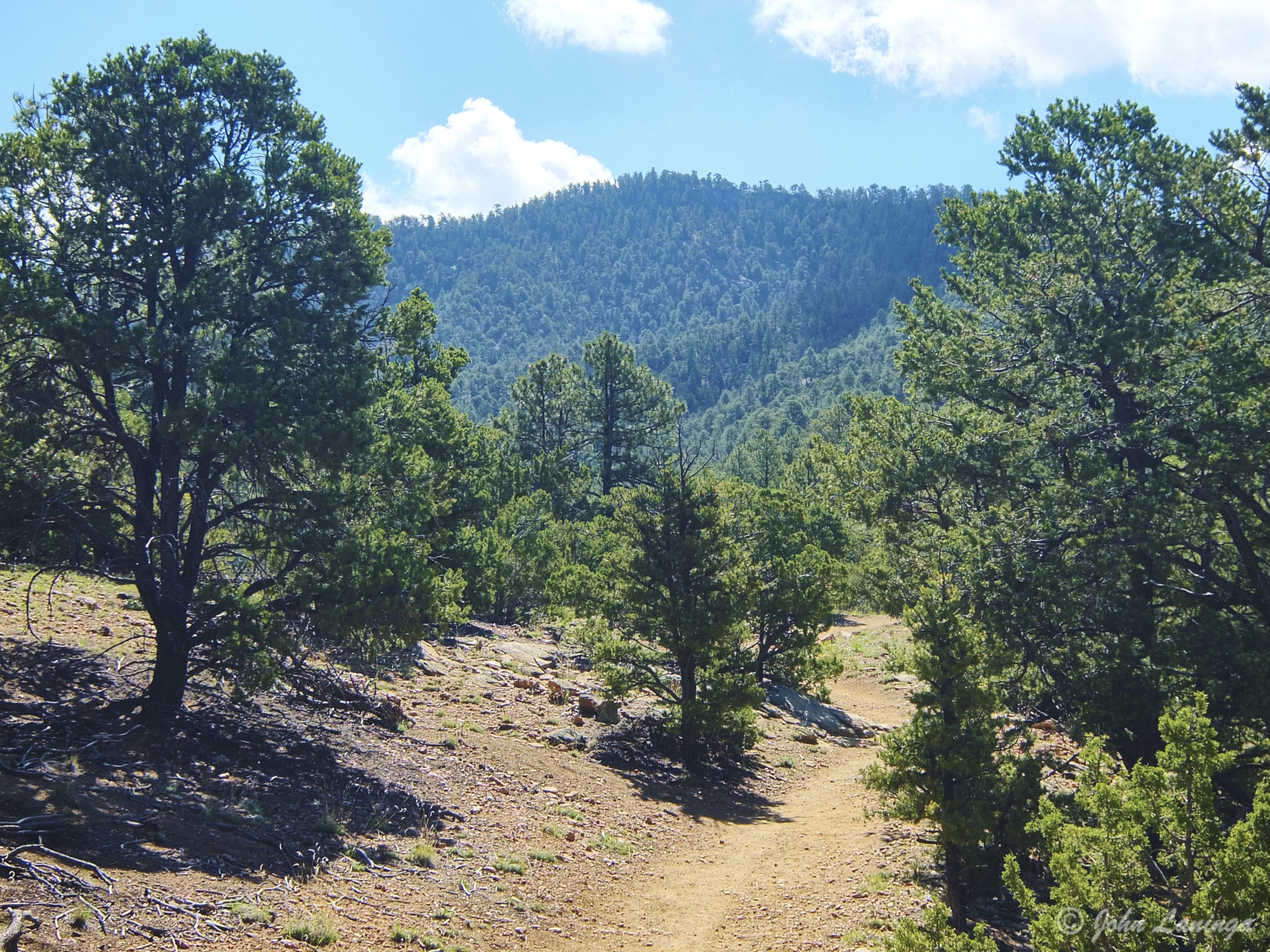 Hiking in the foothills