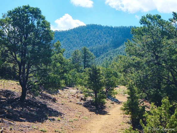 Hiking in the foothills