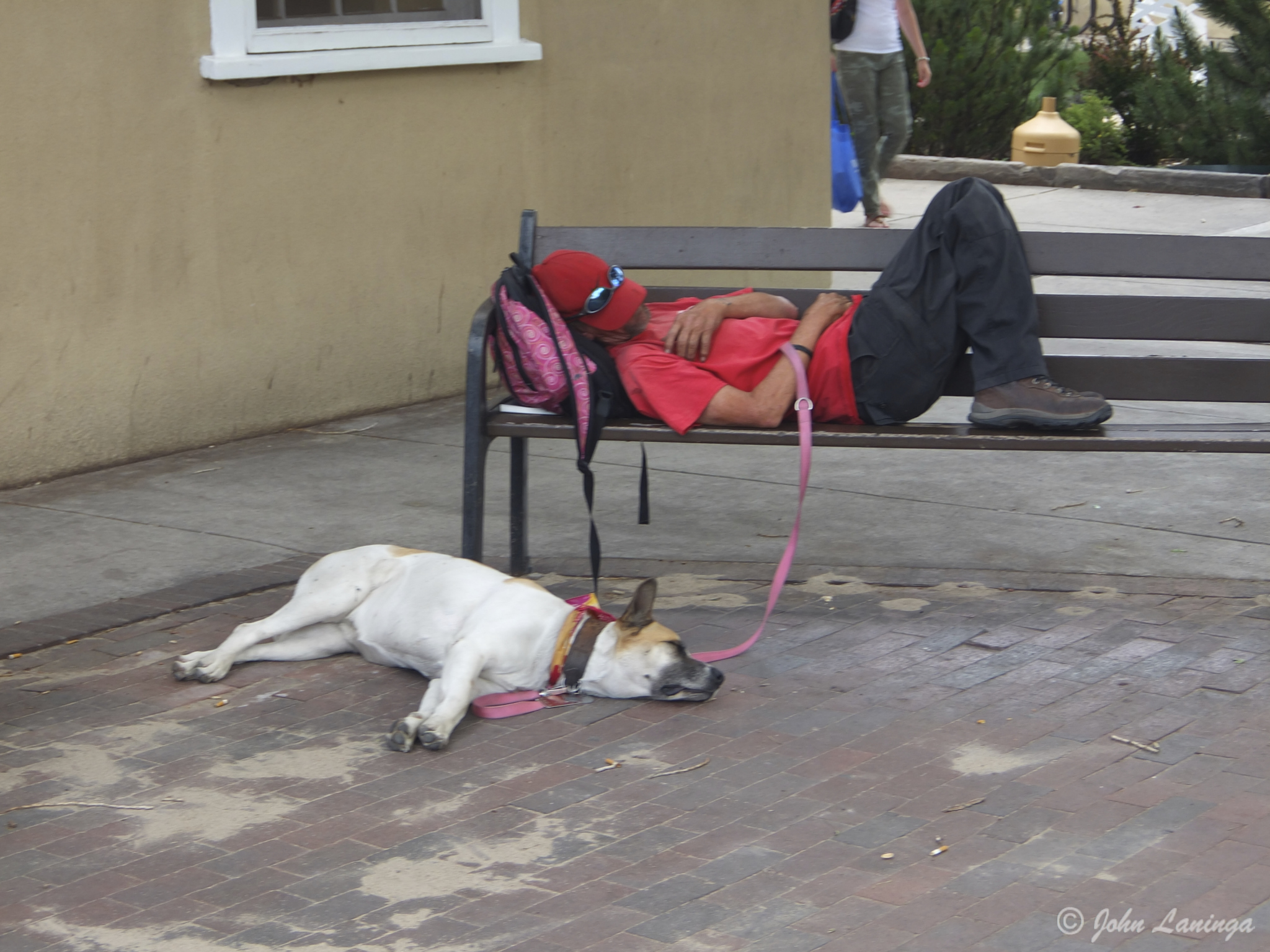 Making a lazy afternoon