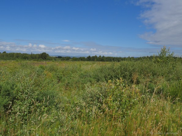 Looking across the battlefield