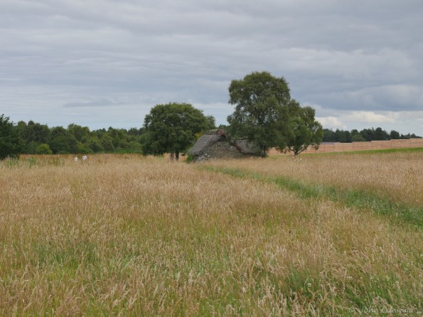 An old farmhouse used during the battle