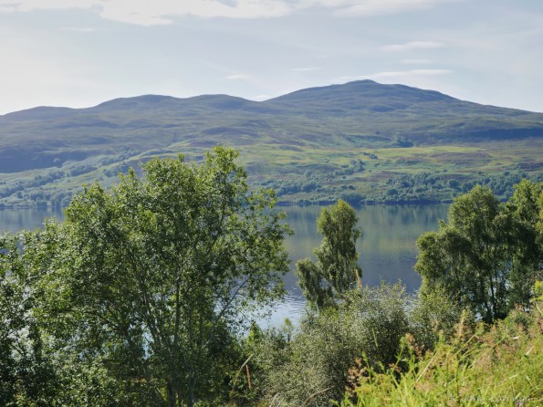 Another roadside stop