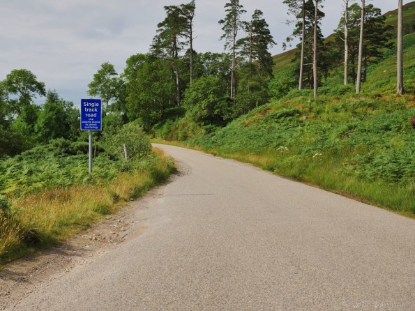 Start of yet another single track section