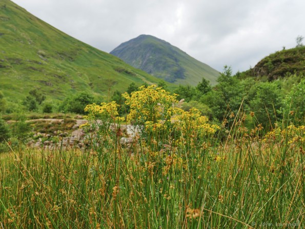More mountain scenery