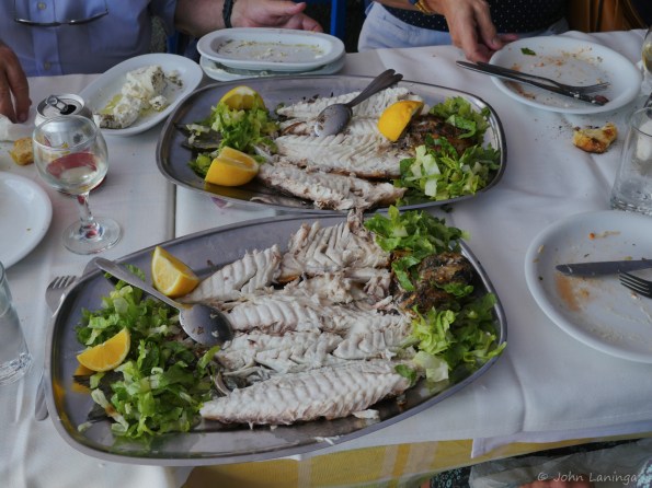 This is how we like to see the fish!